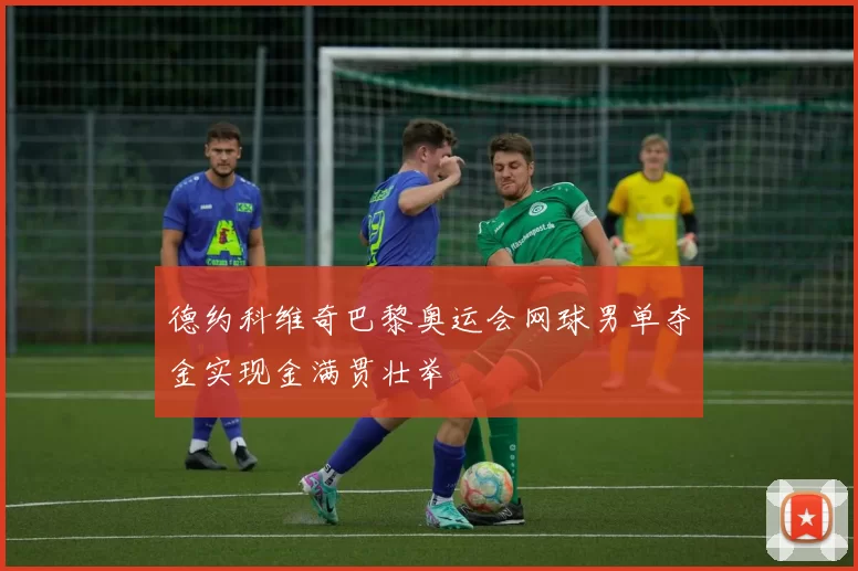 德约科维奇巴黎奥运会网球男单夺金实现金满贯壮举