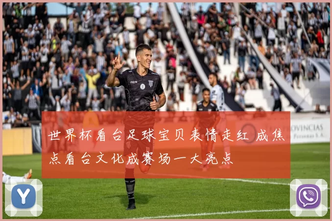 世界杯看台足球宝贝表情走红 成焦点看台文化成赛场一大亮点