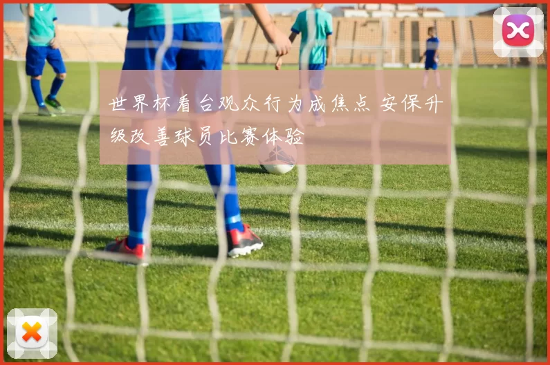 世界杯看台观众行为成焦点 安保升级改善球员比赛体验