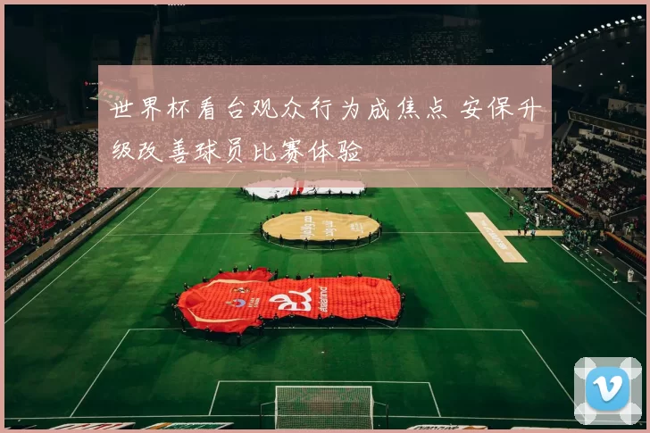 世界杯看台观众行为成焦点 安保升级改善球员比赛体验